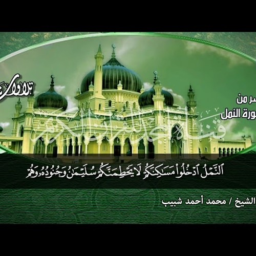 رائعة سورة  النمل🌱 لقارئ   محمد احمد شبيب 🌱  HD