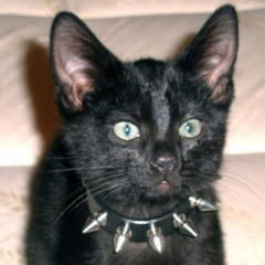 HEY APPLE, KNIFE WHAT HUH.