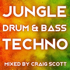 Jungle, Techno & Drum & Bass Playlist (1991 - Present)