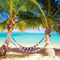 THE BEACH