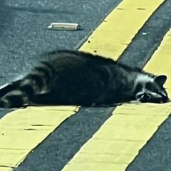 Out Of Luck (Feat. JitDom)