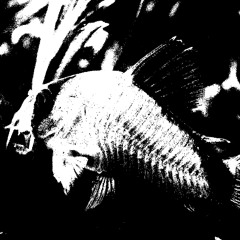 Liquid DnB - 2025 - 11 - 16 (DJ Mix) [Liquid Drum and Bass]