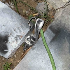 be a brave girl tonight