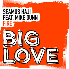 Seamus Haji Feat Mike Dunn - Fire