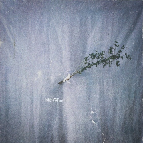 Nebel lang / Wake To Unfold - Time Stands Still