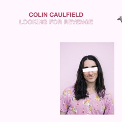 Looking for Revenge