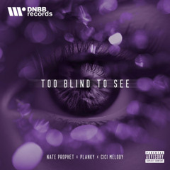 Nate Prophet, Planky, Cici Melody - Too Blind To See