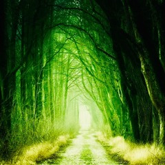 Night in the Downhill Forest (Remix)