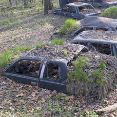 dubbaz x wonDabread x beastman - show you.wav