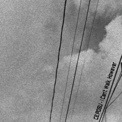 Ce:posu - I Can't Walk, However [FREE DOWNLOAD]