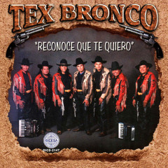 Queridita Mix, El Tucanazo, La Chona, Espejiando, La Chica Sexy