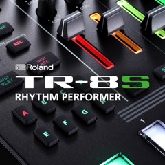 TR-8S Rhythm Performer [Ver2.0] Demo Song "Borax" by Richard Devine