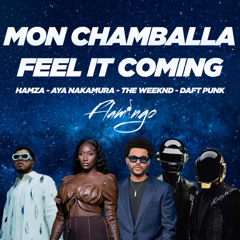 DALE X LOVE THERAPY X I FEEL IT COMING -MASHUP - MAX THE FLAMINGO *** FILTER FOR COPYRIGHT***