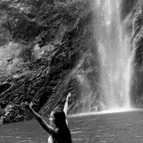 Constant Bullsh*t x Comfort Inn Ending