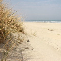 A Little Ambient Session