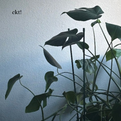 Monstera