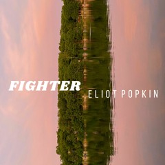 Fighter