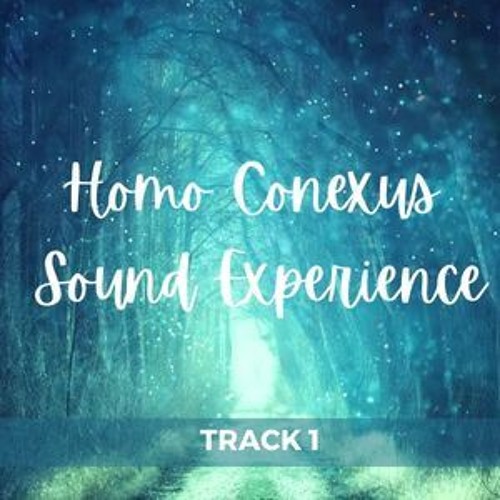 Homo Conexus Sound Experience - Track 1