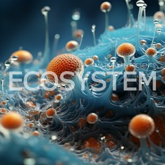 Ecosystem: Techno Series 002