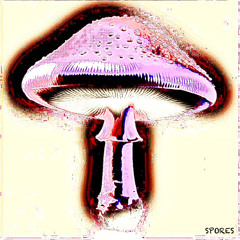 Spores