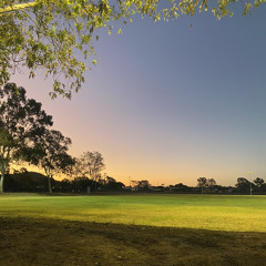 𝐝𝐫𝐢𝐯𝐞 𝐦𝐞 𝐜𝐫𝐚𝐳𝐲 🤪🎶😍