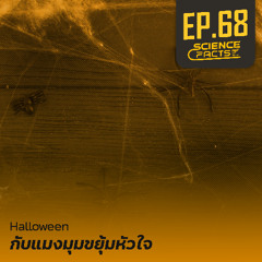 Science Facts EP.68 Halloween กับแมงมุม ขยุ้มหัวใจ