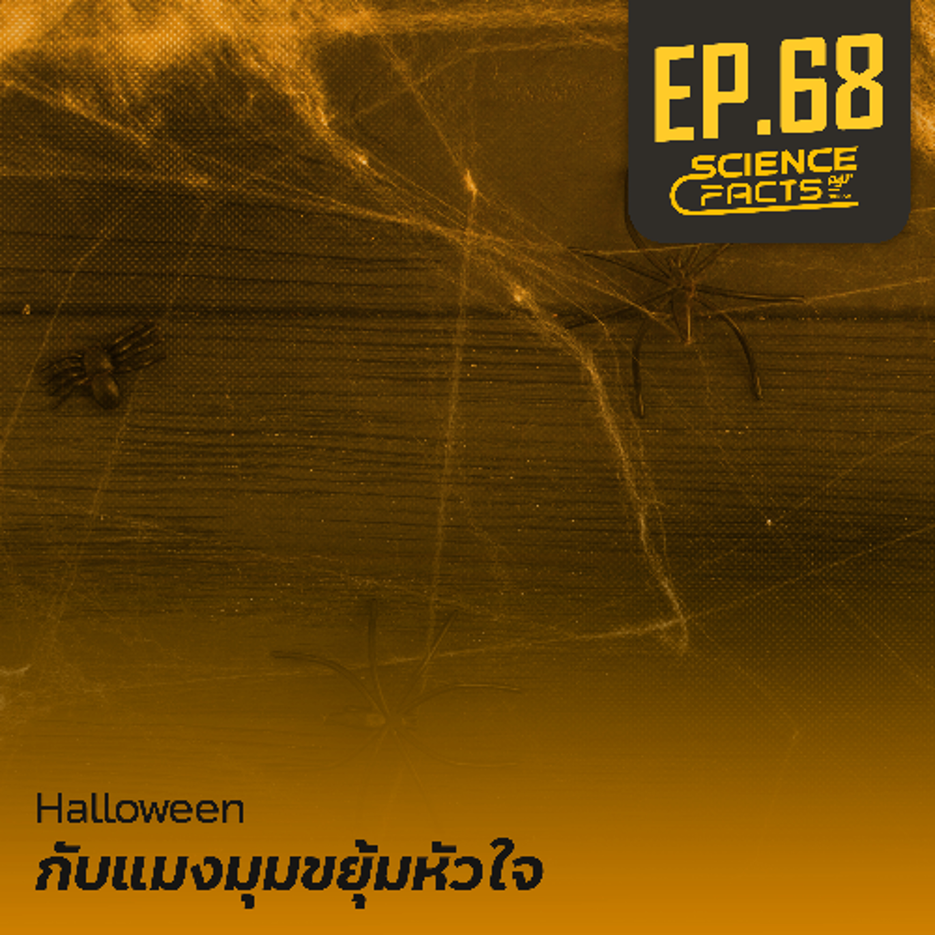 Science Facts EP.68 Halloween กับแมงมุม ขยุ้มหัวใจ