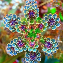 Goddess of Flowers