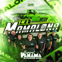 La Mamalona (En Vivo)