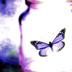 FreshAirInTheJarForTheUtterFly