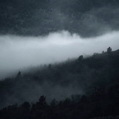 Mix OXYCREW : sto oxy vs Eggr