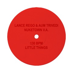LANCE REGO & AUM TRIVEDI - LITTLE THINGS