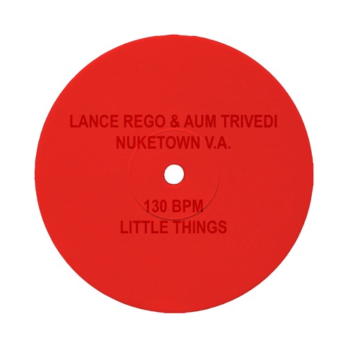 LANCE REGO & AUM TRIVEDI - LITTLE THINGS