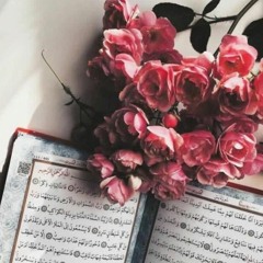 وَمَا رَبُّكَ بِظَلَّامٍ لِّلْعَبِيدِ | عبد الرحمن مهدي