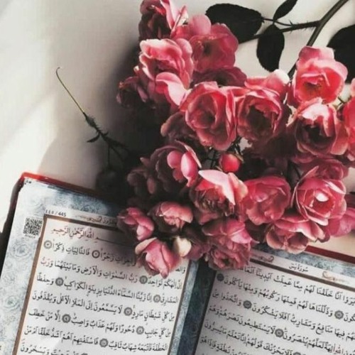 وَمَا رَبُّكَ بِظَلَّامٍ لِّلْعَبِيدِ | عبد الرحمن مهدي
