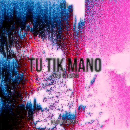 Sel - Tu Tik Mano ( NAURIUX REMIX ) ( 2024 Version ) ( Extendet mix )