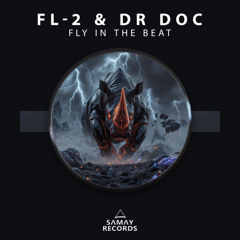 FL-2, Dr. Doc - Fly in the Beat (Samay Records)