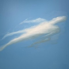 Zoe Akoka / Shortsighted 0.1