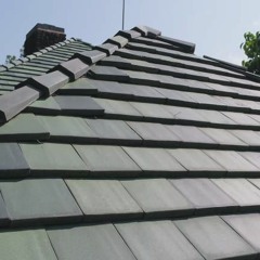 loddy on the roof