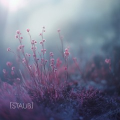 STAUB #128