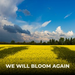 We Will Bloom Again