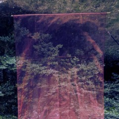 Stimme - Detect 24 @ Kokon