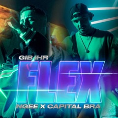 Gib ihr flex - Capital Bra & NGEE