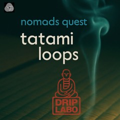 Tatami Loops (loopable)