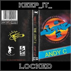 Andy C - The Joint II Mixtape