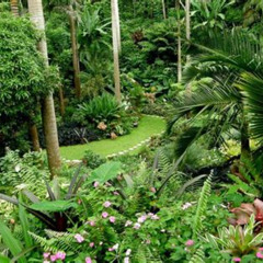 Review Special Price Huntes Garden And St Nicholas Abbey Small Group Barbados Tour