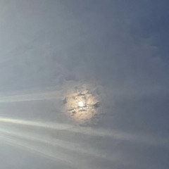 NeverHeardaBrae (feat. $hady Gho$t) - Ever Since