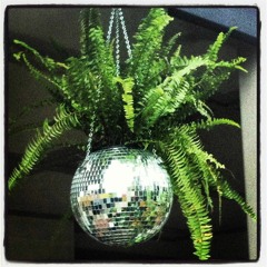 Daily Tps Report (a Disco Office Party)