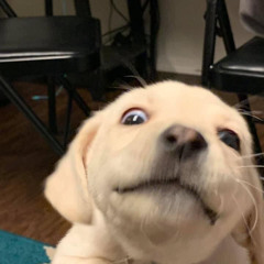 Manyao Mix 2025 Part 3 Req Cyn