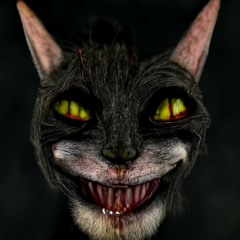 The Evil Cat